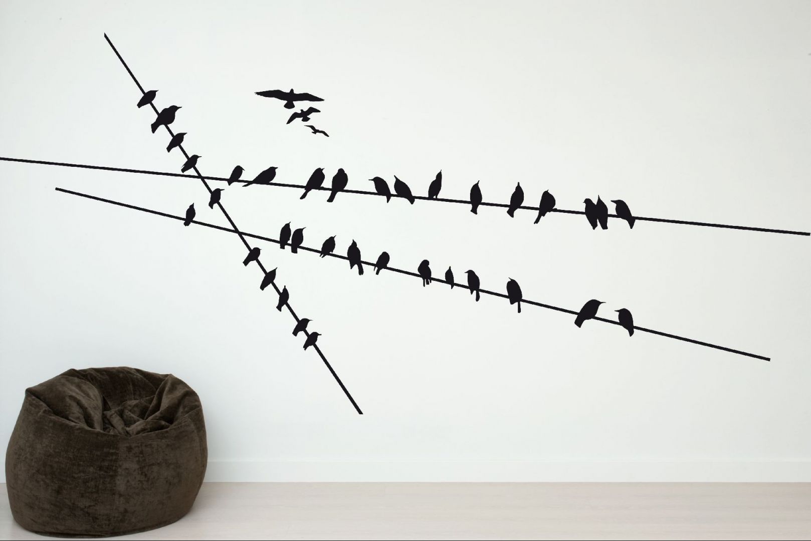 Birds.jpg