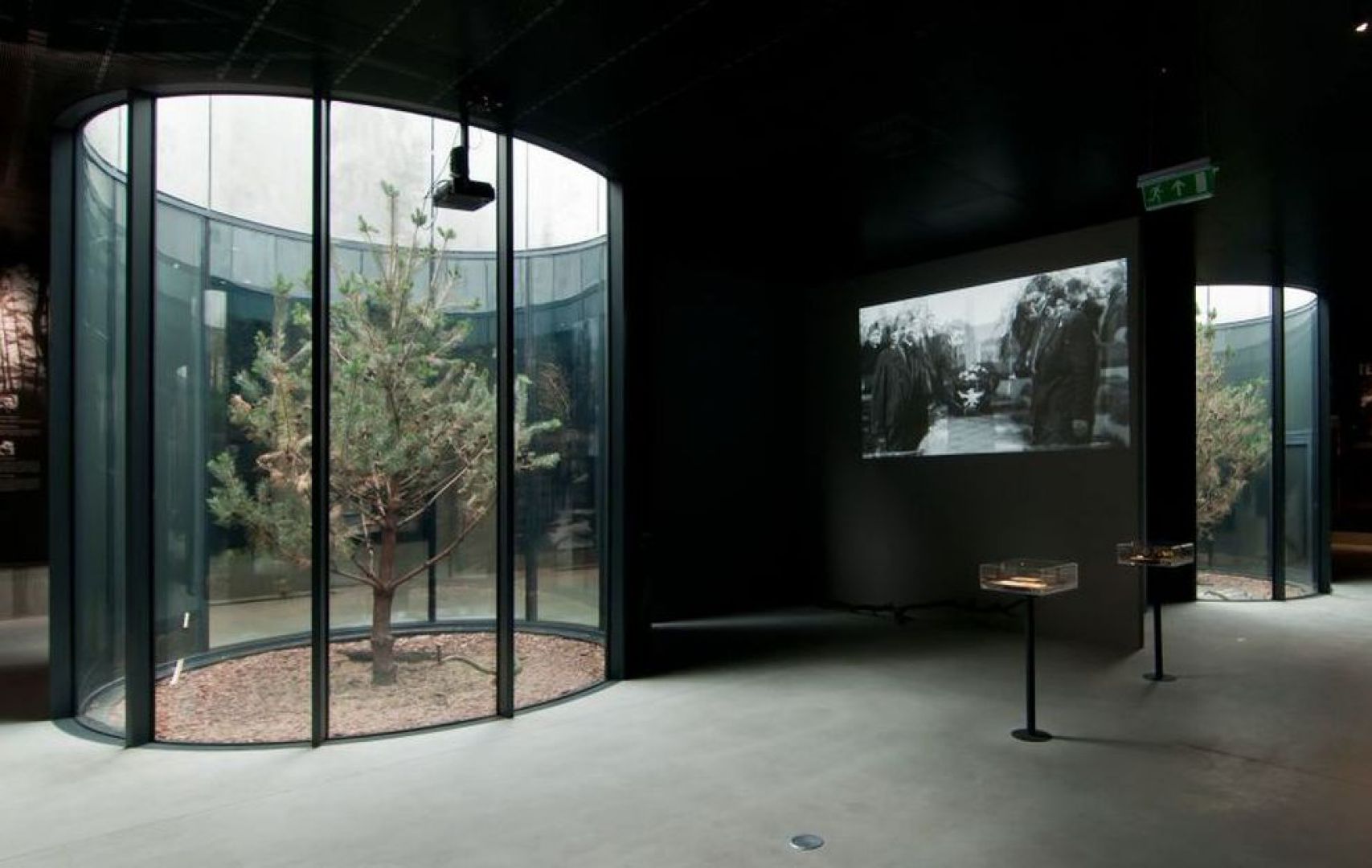 MMW Palmiry-15.jpg