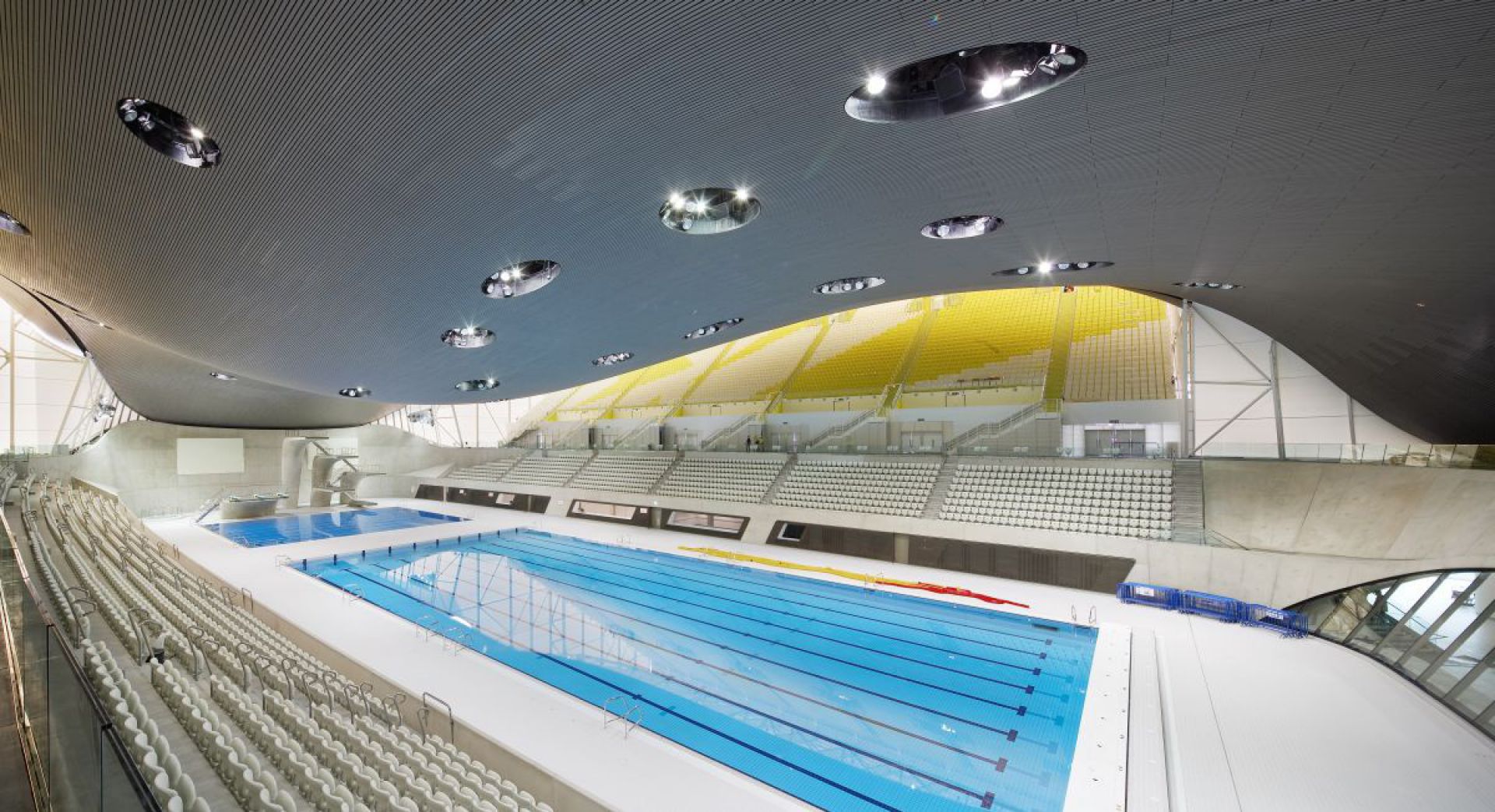 ZH Aquatic 021.jpg