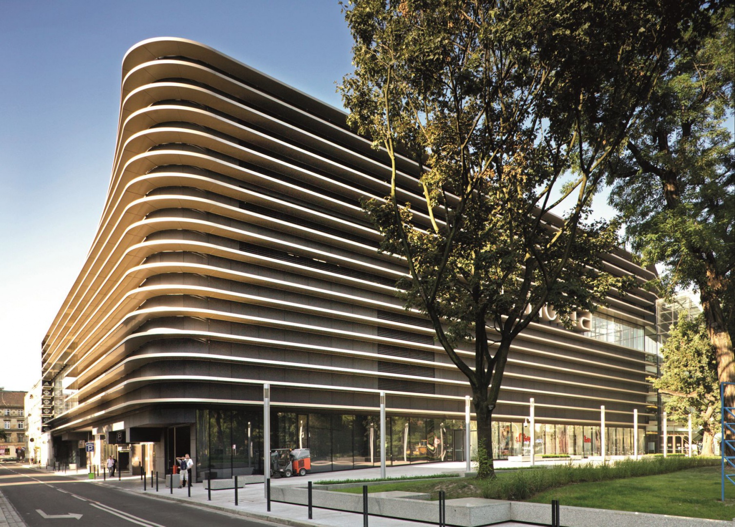 renoma11d.jpg