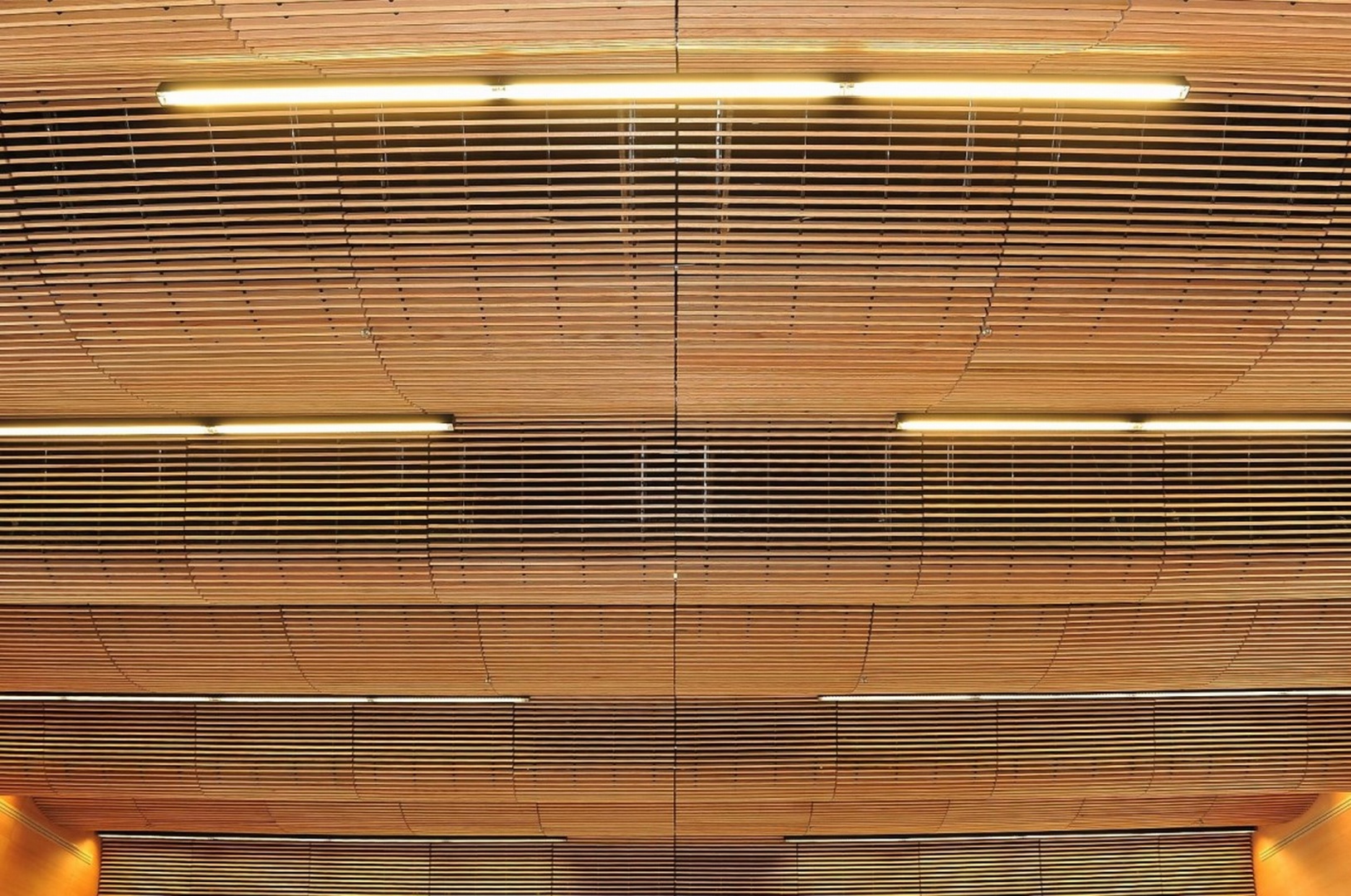 Sala Prim_wnetrze (6)_fot. Francisco Javier Salcedo Rico.jpg