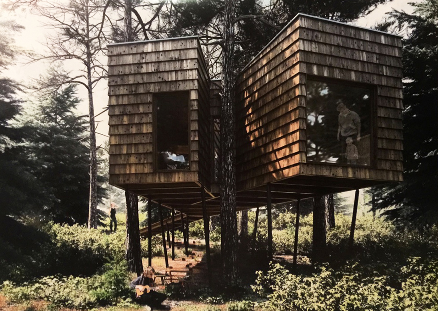 2-Branch-Arquitectos Matos02.jpg