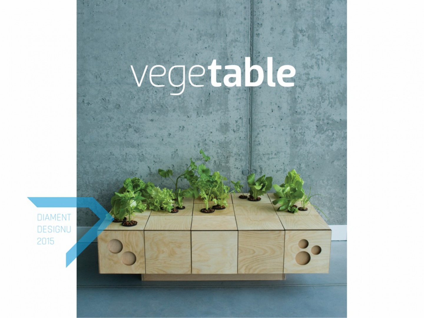 WyróżnienieInnowacyjyPomysł_VegeTable.jpg