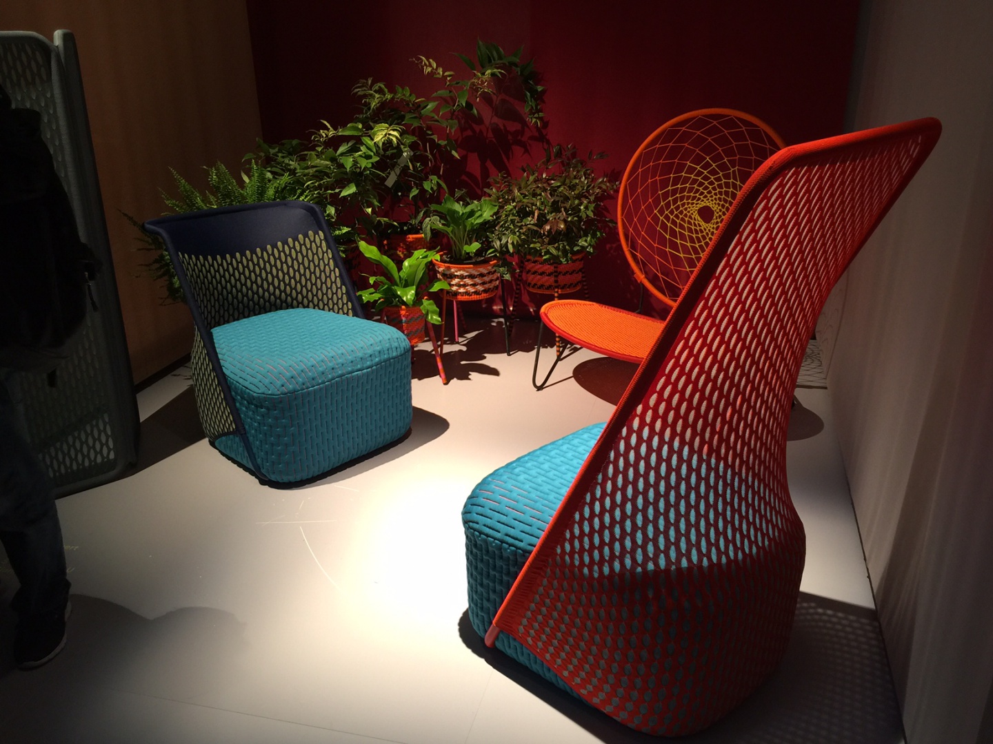 Moroso. Fot. Beata Michalik.jpg