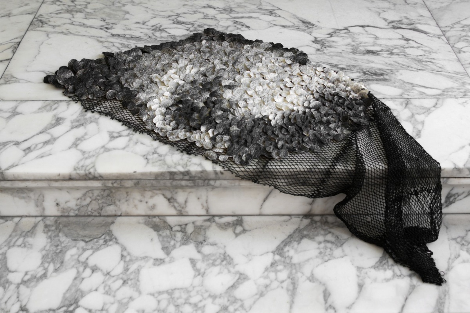 WYSTAWA GŁÓWNA_reseame_dywan.jpg