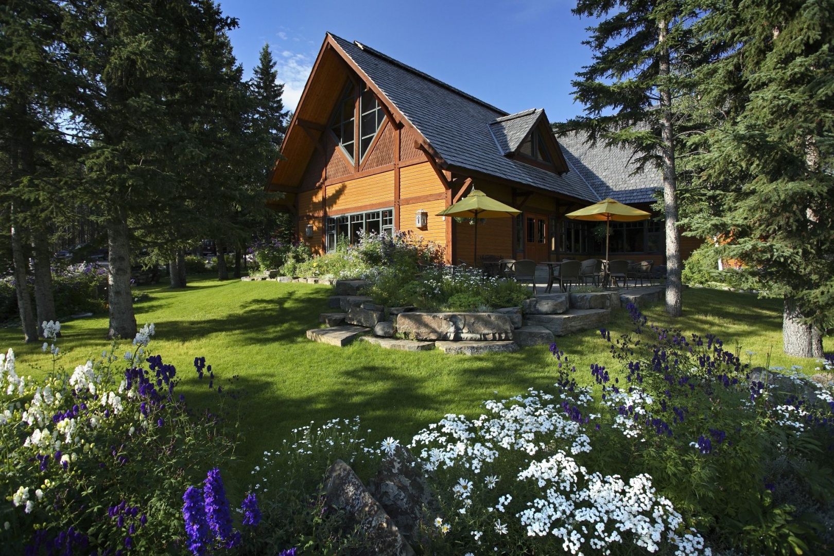 hotels_com_buffalo_mountain_lodge_canada.jpg