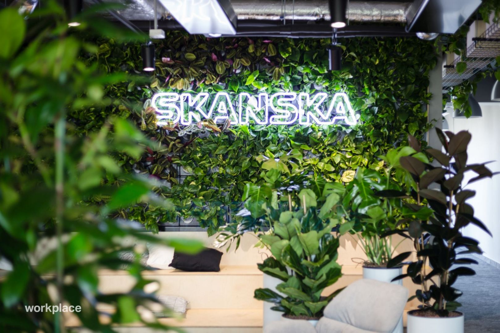 mat. pras. Workplace SolutionsWE_Skanska_Jungle_3.jpg