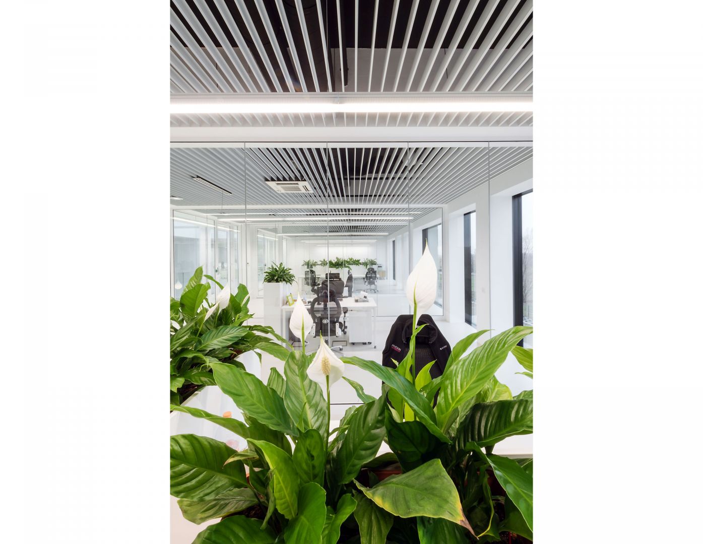 PIVEXIN Technology by MUS ARCHITECTSl_031.jpg