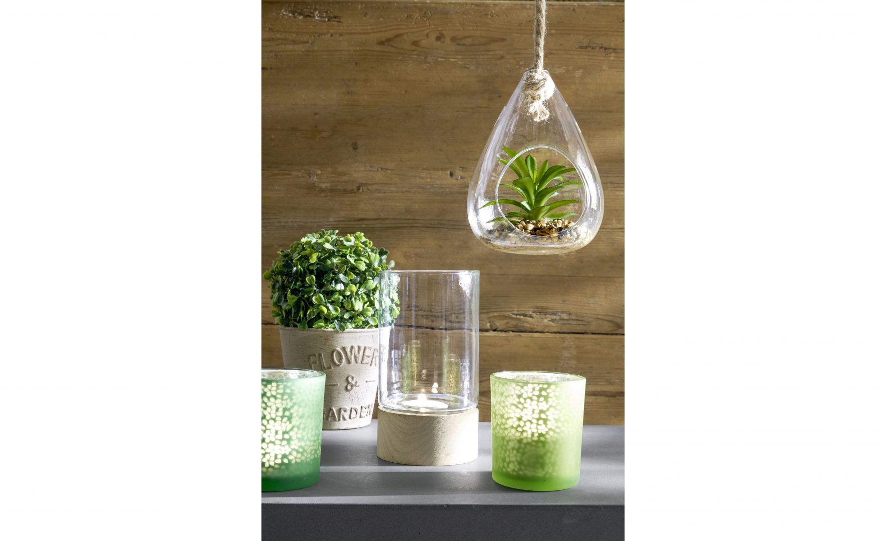 KiK_sukulenty_w_szkle_wymiary_12_×_11_×_18_cm_cena_19,99_swieczniki_na_tealighty_wymiary_7_×_7 _8_cm_cena_5,99_bukszpany_wysokosc_21_cm_cen.jpg