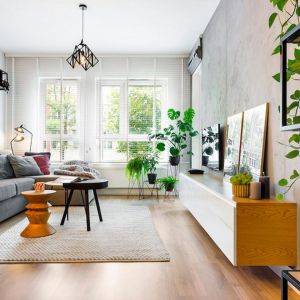 Roliny w salonie s modne! A 25 zdj z wntrz! - Galeria -  Dobrzemieszkaj.pl
